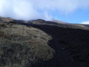 Foto lungo il sentiero di Serra delle Concazze