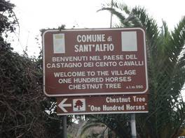 One hundred horses chestnut tree: road on the left