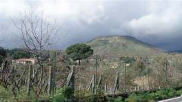 Der Kastanienbaum der hundert Pferde Ätna: der  Ätna und die alte und bereits mit Bäumen bedeckte Kratern