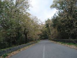foto della strada che da Viagrande porta al Castagno dei Cento Cavalli - Etna: i boschi dell'Etna