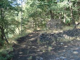 foto dentro la pineta della Cubania - Etna: segnali per il sentiero che conduce su monte Rinatu