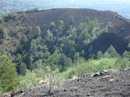 Der 'Pineta della Cubania' Naturweg, auf dem vulkan Ätna: um den durch Vegetation bedeckte Krater