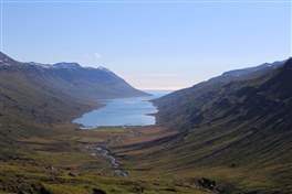 Car trip to the Mjoifjordur fiord: the landscape