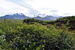 Svartifoss: il ghiacciaio Skaftafellsjokull