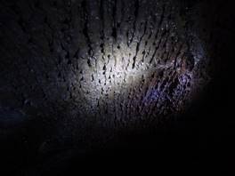 foto della Grotta Cassone - Etna: accenni di concrezioni
