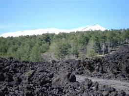 foto del percorso che arriva alla grotta del Gelo - Etna: le colate laviche del 2002