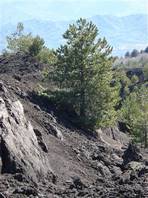 Grotta del Gelo, Mount Etna: nature to destroy but also to recreate