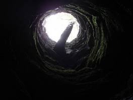 Die Ladroni Grotte, auf dem Vulkan Ätna: Aus einem Loch in der Decke starrt eine Birke