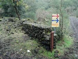 foto del sentiero che porta all'Ilice di Carrinu - Etna: il punto di partenza del tracciato