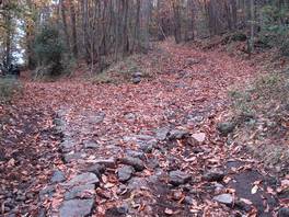 foto del sentiero che porta all'Ilice di Carrinu - Etna: (qui andate a sinistra)