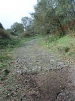 foto del sentiero che porta all'Ilice di Carrinu - Etna: stradina che porta a Piano Bello