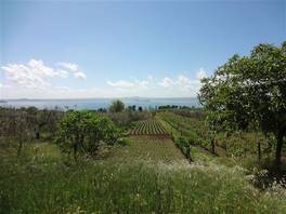 Francigena route from Bolsena to Montefiascone: the Umbria and the Tuscany