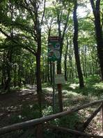 Francigena route from Bolsena to Montefiascone: the Turona nature park