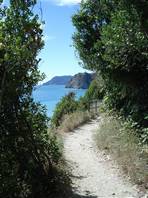 Die wunderschönen Pfade der Cinque Terre: das Wechselspiel von Grün und Blau