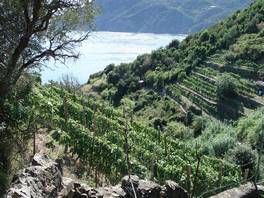 Cinque Terre - Sentiero Azzurro:  by the beautiful panoramas