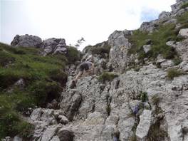 Resegone summit track: more a climb than a walk