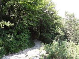 Rundreise von Piani di Erna zum Berg Resegone. : dann in den Wald