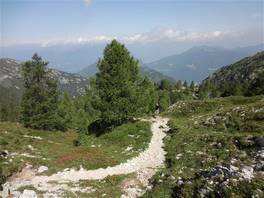 Der Ganda-Weg auf den Gipfel des Grigna und die Brioschi-Hütte: steigt das Gelände an und die Bäume werden weniger