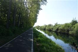 Fahrradweg von Mailand nach Pavia - Naviglio Pavese entlang: im Schatten der Bäume