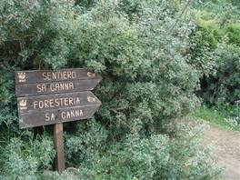 Mount Arcosu - Sa Canna trail, Sardinia: Sa Canna and SN1 signs