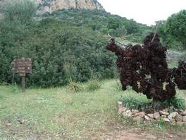 Riserva di Monte Arcosu - Sentiero Sa Canna: monumenti anti bracconaggio