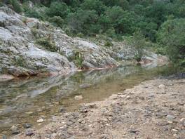 Riserva di Monte Arcosu - Sentiero Sa Canna: il torrente Sa Canna