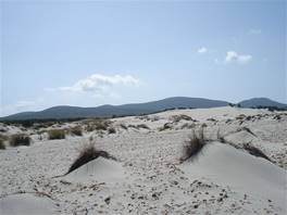 Porto Pino dunes: round sandy dunes just behind the beach