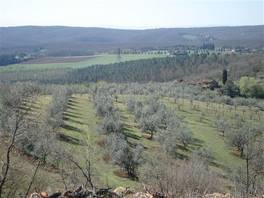 Alta val d Ambra: among vineyards, olive grooves