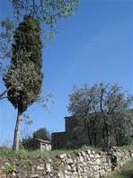 Alta val d Ambra: farmhouses and cypresses