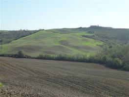 Crete Senesi: some houses/farms now and there