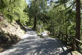 Hike from Rabbi valley to Corvo Lakes: Cavallar area