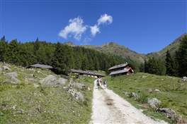 Hike from Rabbi valley to Corvo Lakes: malga Caldesa bassa