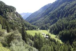 From Pian Palù to Lagostel lake: look at the valley from above