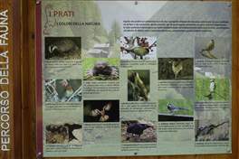 From Pian Palù to Lagostel lake:  educational signs about the park