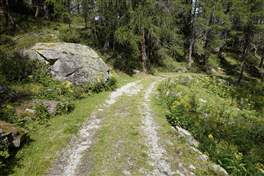 From Marilleva to the Malga Artuick through the lake Stablo: descend on a comfortable dirt road