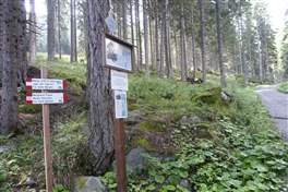 From Marilleva to Orti refuge: signs for route 202 