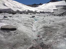 Passo Paradiso - Rifugio Capanna Presena: coprire il ghiaccio