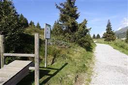From the Tonale pass to the lake Monticello through the Presena stream bed Stablo: start walking on the Tonale fitness path