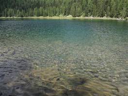 Orso Bruno hut - Malghette lake: get to the lake