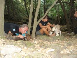 Mons Gibel - Guya Trekking 2011 - Prima tappa - Etna: giocare un pò con dei cani