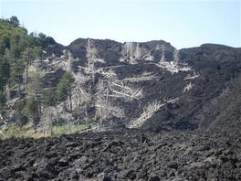 Mons Gibel - Guya Trekking 2011 - Seconda tappa - Etna: foresta pietrificata