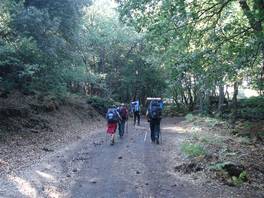 Mons Gibel 2011 - Guya Trekking: woods