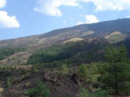 Altomontana path, mt Etna: old lava flows