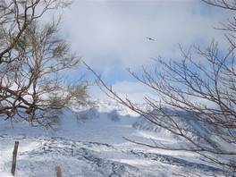 foto nel sentiero natura Monte Zoccolaro- Etna: osserviamo alcuni rapaci volare sulla valle