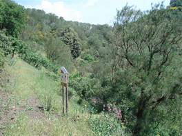 Monti Rossi Nicolosi nature trail: the south crater