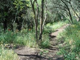 foto del sentiero natura che attraversa i monti Rossi a Nicolosi - Etna: al cui termine potrete proseguire verso sinistra
