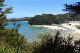 Abel Tasman national park coast track: Torrent Bay