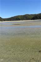 Abel Tasman national park coast track: low tide to cross the lagoon
