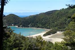 Abel Tasman national park coast track: Bark Bay