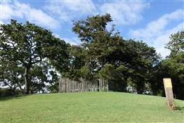 Auckland Coast to Coast: Maori sacred site